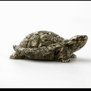 Crystal Turtle