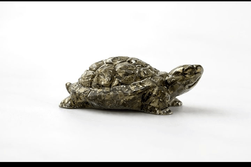 Crystal Turtle